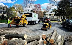Best Lawn Pest Prevention  in Crump, TN